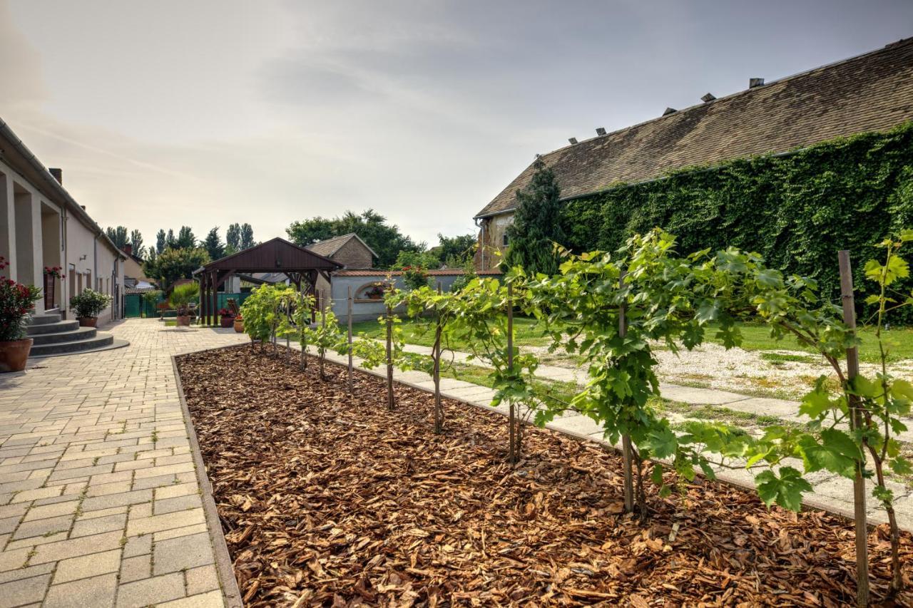Adamko Borkert Haz Bed & Breakfast Villany Ngoại thất bức ảnh